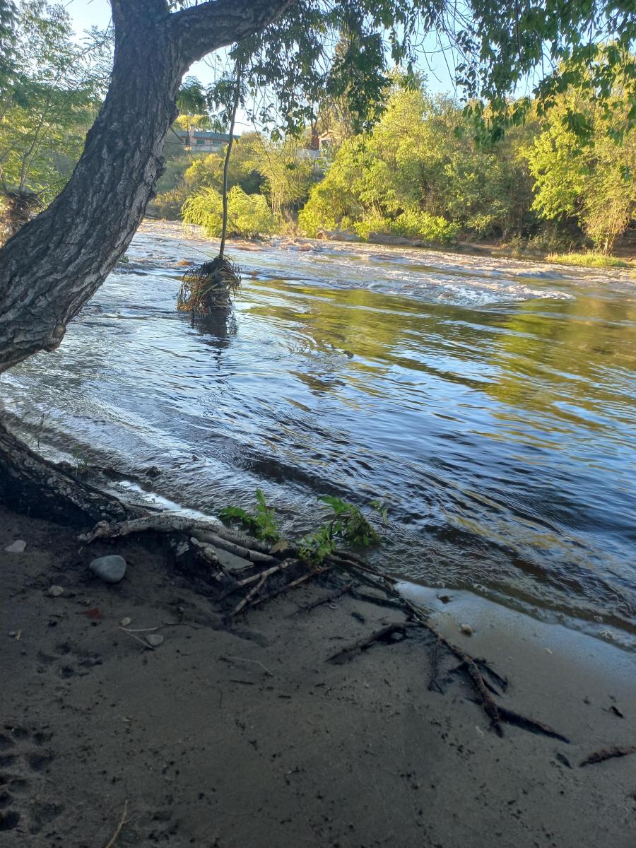 Los Aromos Terreno a m del Río Lugar Soñado 2