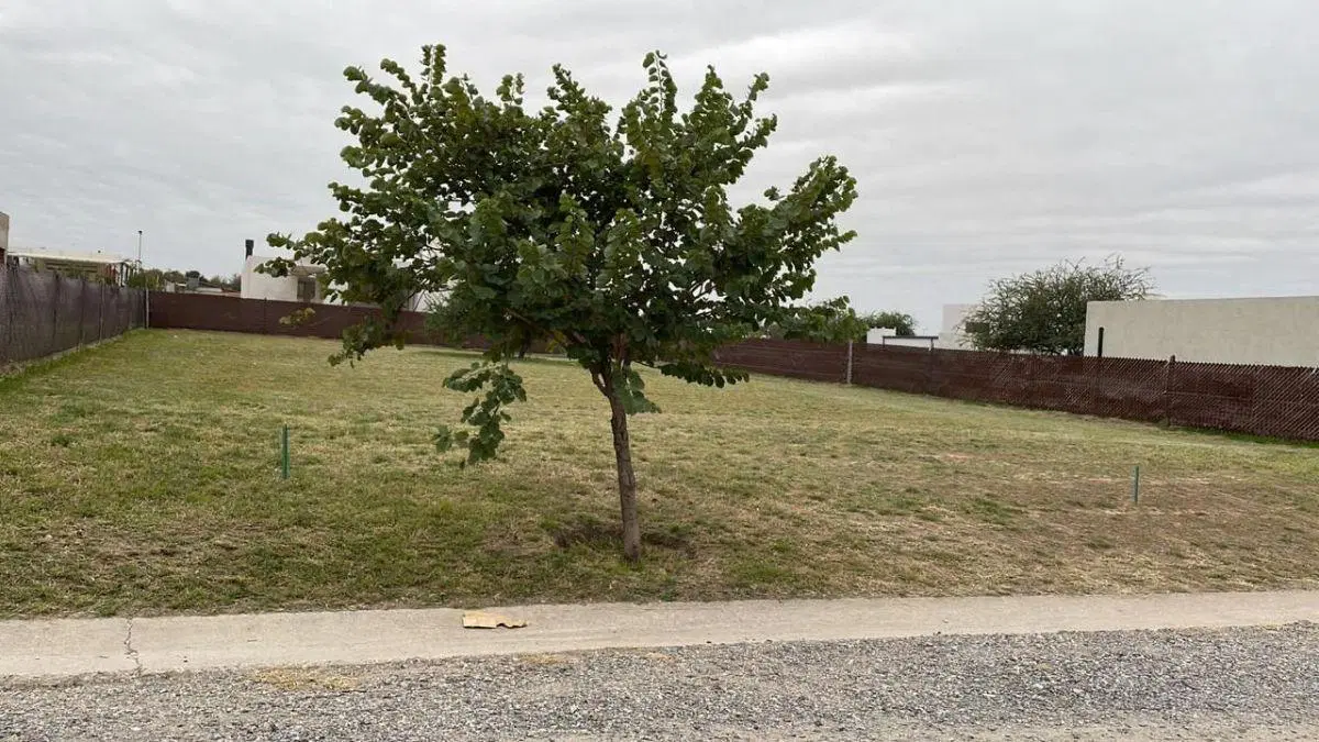 Único! Terreno en La Cercania e53 2