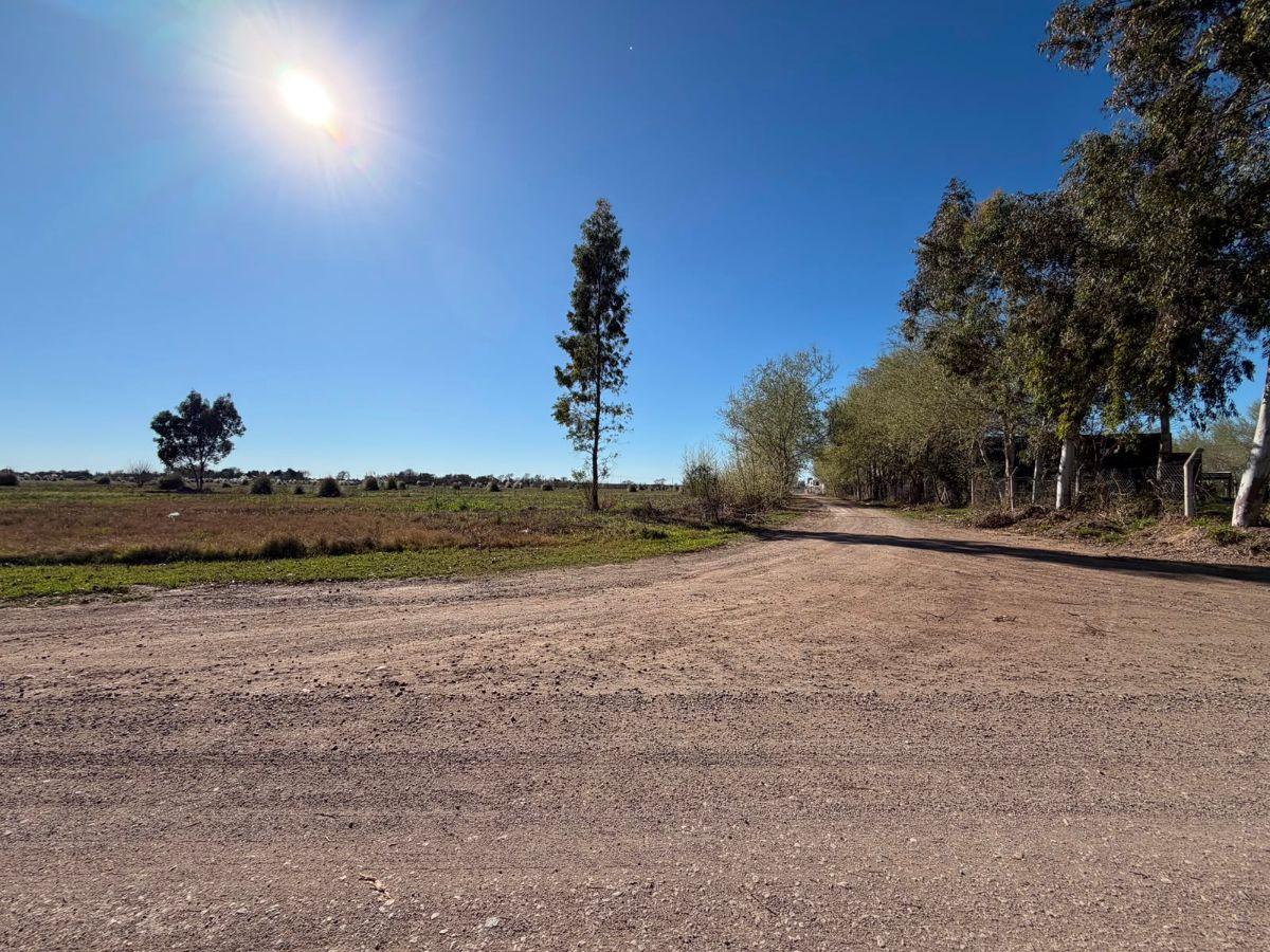 Foto de RUTA E53 IDEAL DESARROLLO COMERCIAL 1.8Hectareas, imagen 2