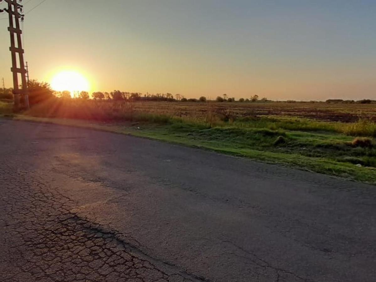 Campo Sobre Ruta A012 San Lorenzo/ Ricardone 1