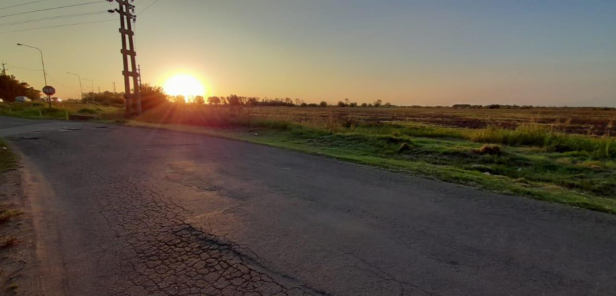 Campo Sobre Ruta A012 de San Lorenzo y Ricardone en Venta 4