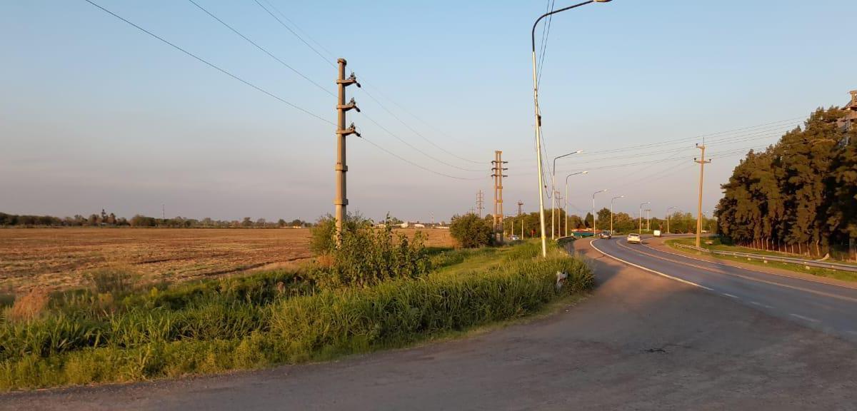Campo Sobre Ruta A012 de San Lorenzo y Ricardone en Venta 1