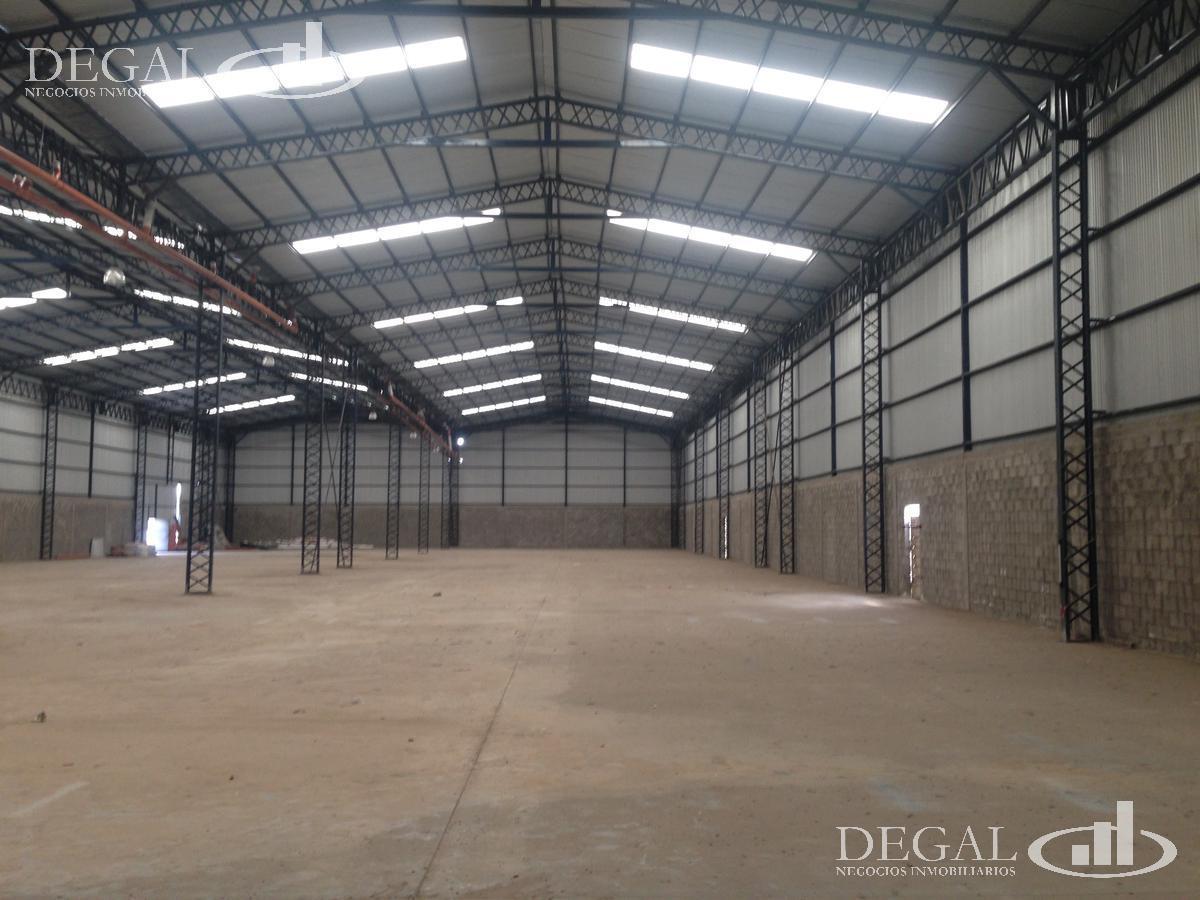 Foto de Depósito - Benavidez, imagen 3
