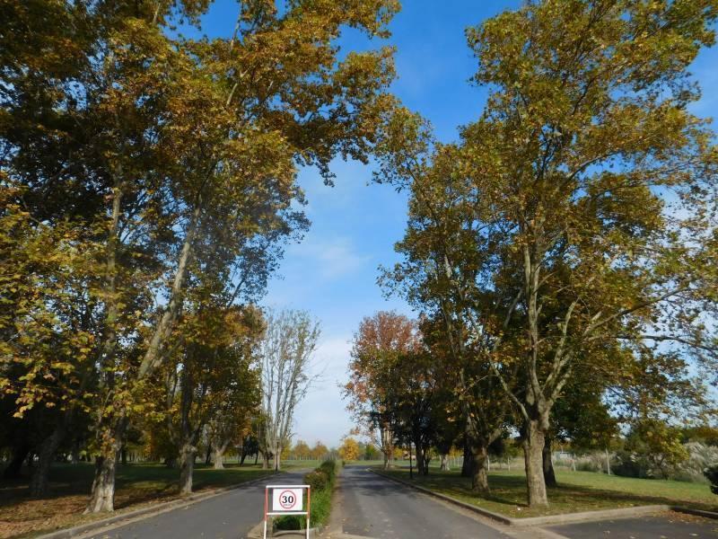 Terreno, Lote en Venta, Prados del Oeste II, Moreno