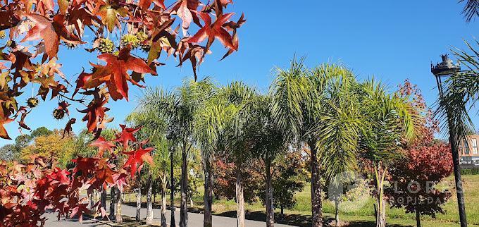 Terreno en Venta, Chateau Pilar, Pilar