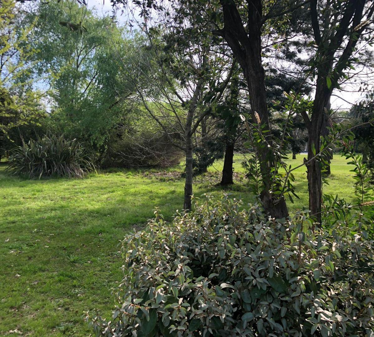 Foto de Venta de Casa 5 AMBIENTES en Solar del Bosque, Canning, imagen 5