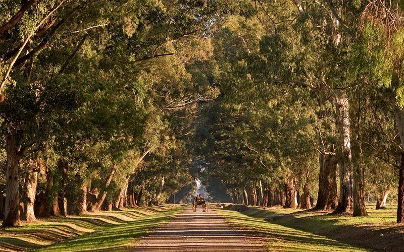Venta de Lotes En Estancia Villa Maria, Canning
