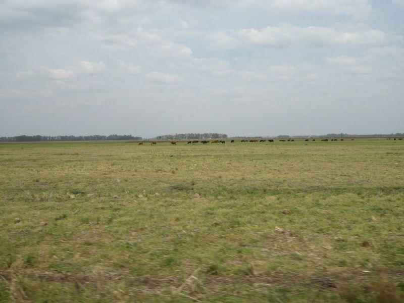 Campo en Cañuelas 4