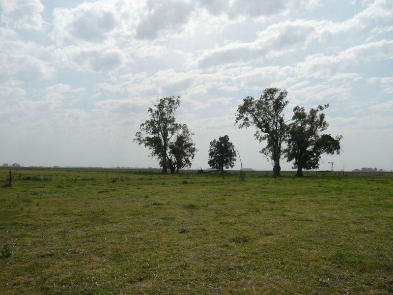 Campo en Cañuelas 5