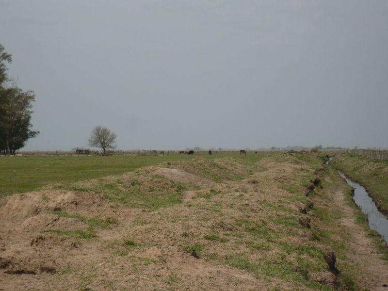 Campo en Cañuelas 2
