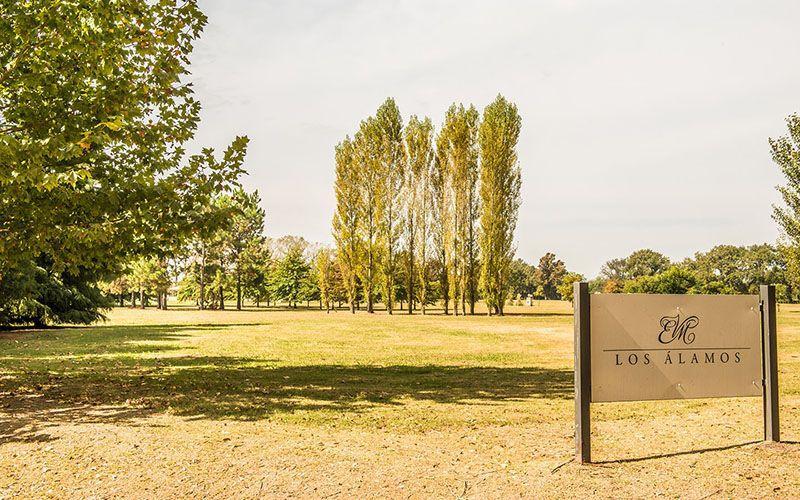 Foto de Lote en Venta, en Estancia Villa María, Canning, imagen 2