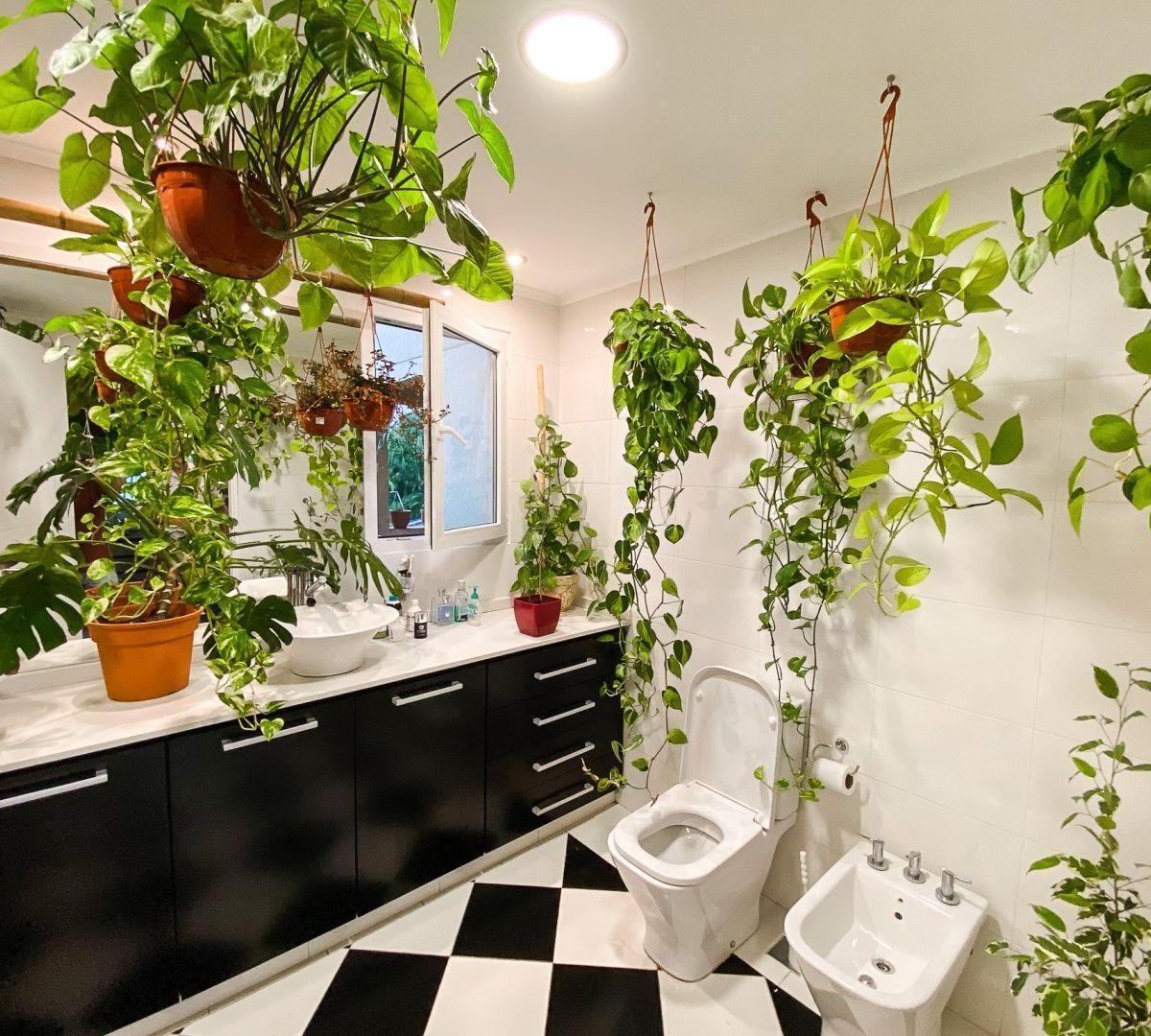 Foto de CASA EN VENTA 7 AMBIENTES EN LA PROVIDENCIA, CANNING, imagen 2