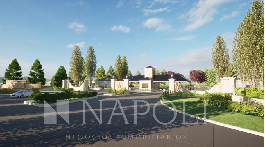 Venta de Lote en Don Armando, San Vicente