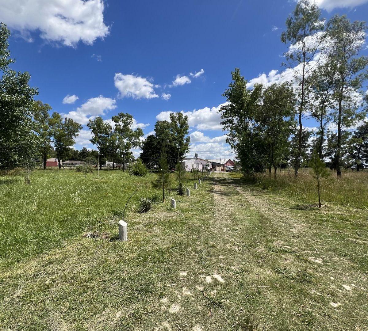 Parcela de 79555 m2 en Venta en Domseelar, San Vicente
