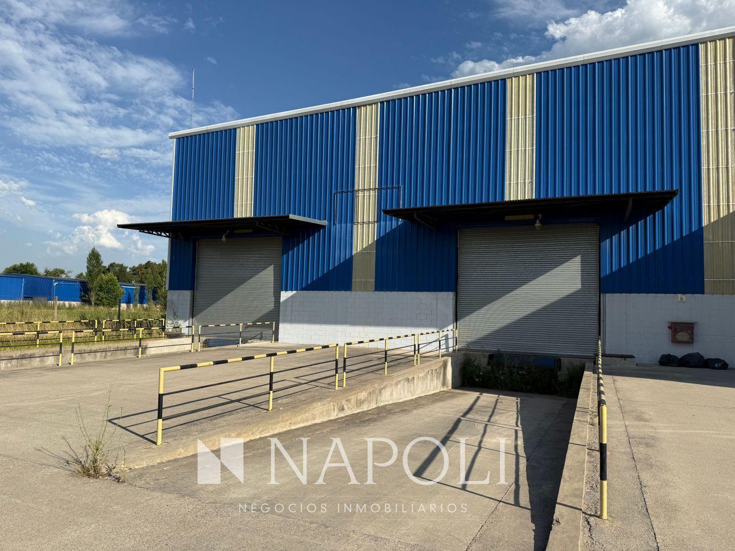 Alquiler de galpón industrial con oficinas en Ezeiza