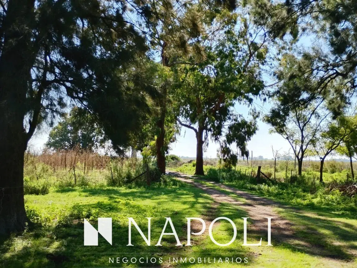 Venta de Campo en San Vicente. 2