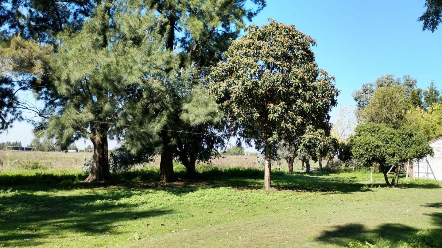 Foto de Venta de Campo en San Vicente., imagen 3