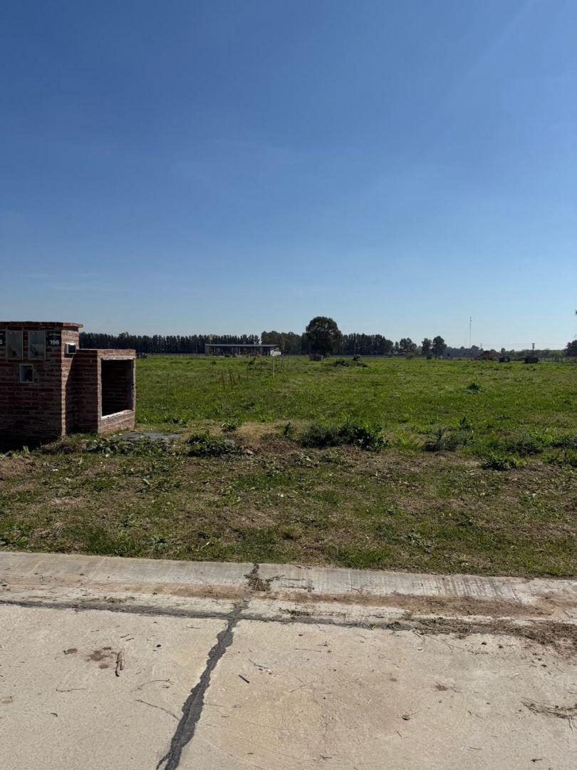 Foto de VENTA DE LOTE EN SAINT THOMAS CHICO, CANNING, imagen 4