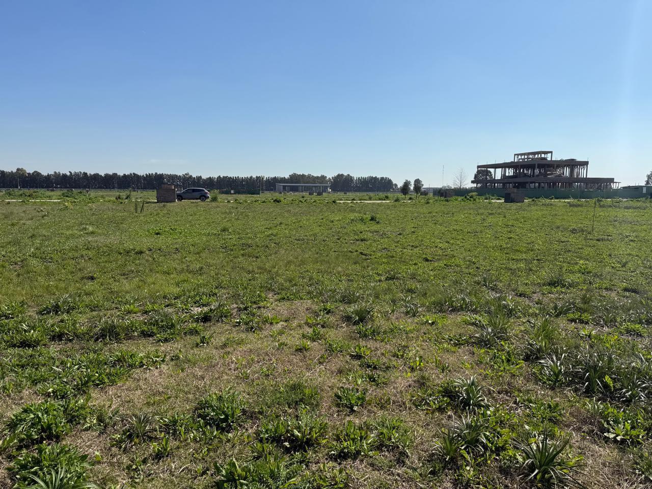 Foto de VENTA DE LOTE EN SAINT THOMAS CHICO, CANNING, imagen 3