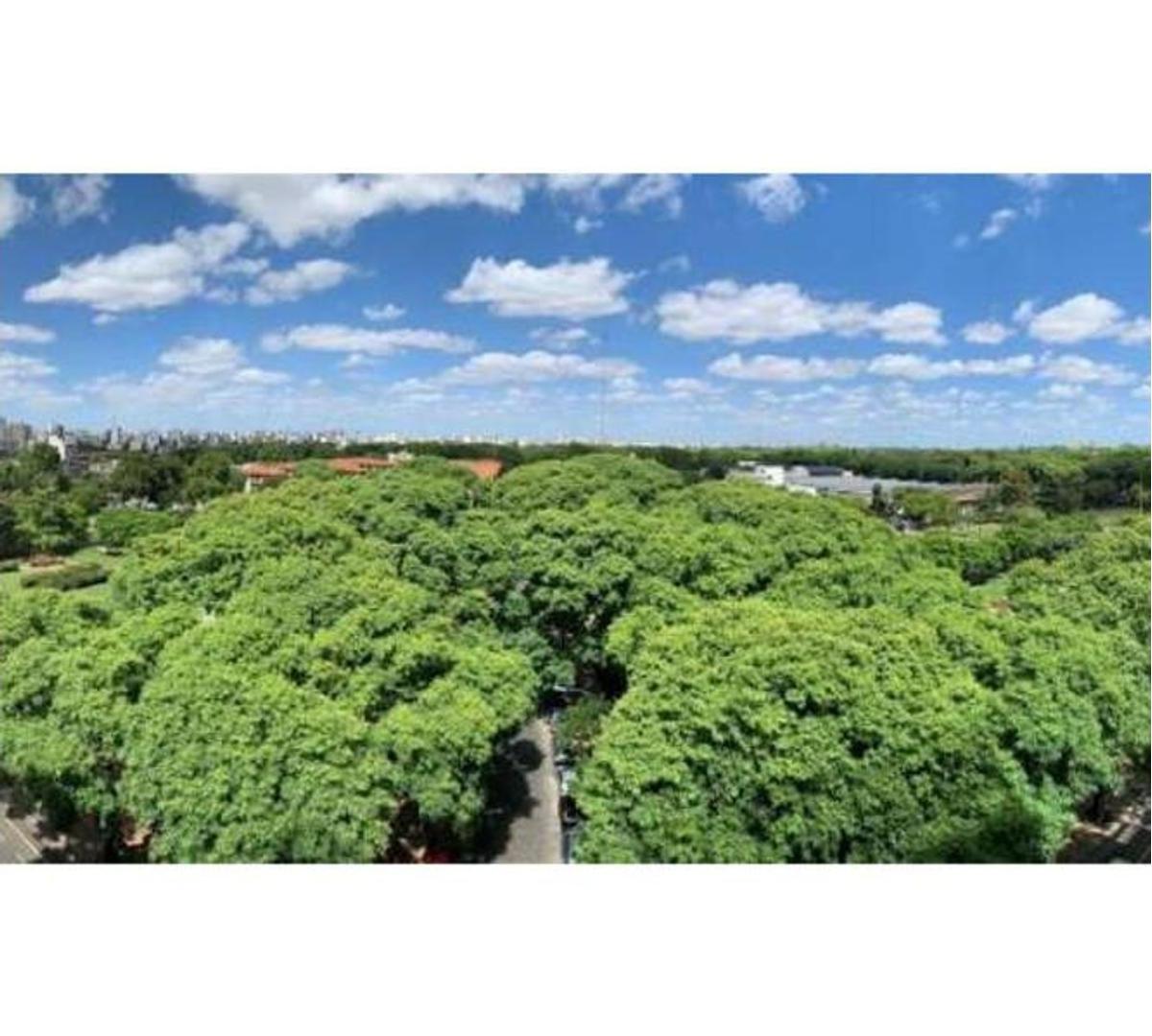 Foto de Venta - Monoambiente apto profesional, impecable., imagen 2