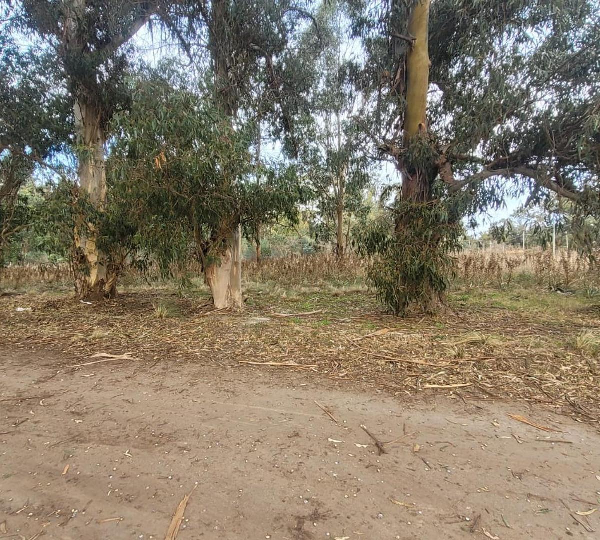 3 Lotes en Venta Total 770 m², Villa Marítima Zabala, Necochea 3