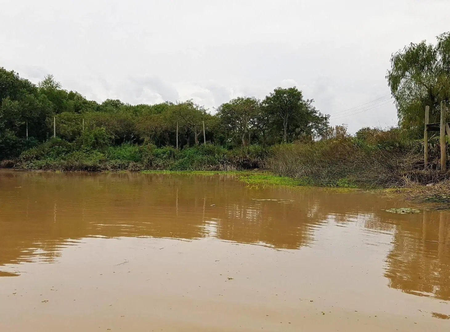 Lote 31ha venta s/rio, 2da sección Delta Islas Paraná Palma 5