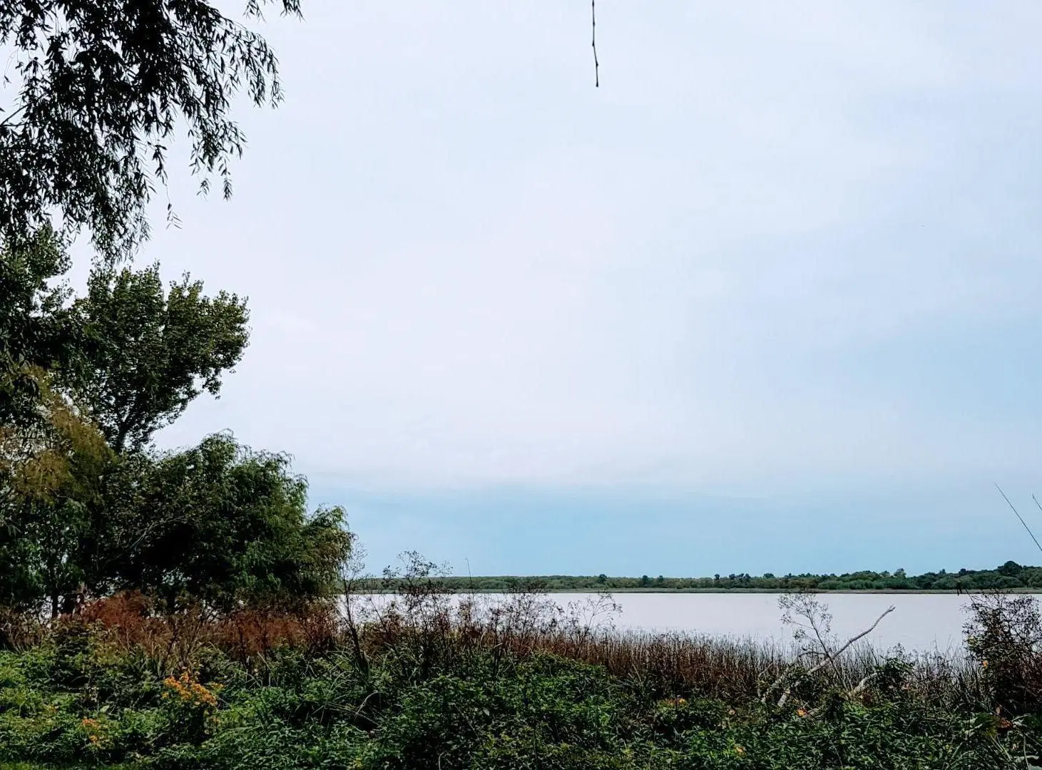 Lote 31ha venta s/rio, 2da sección Delta Islas Paraná Palma 5