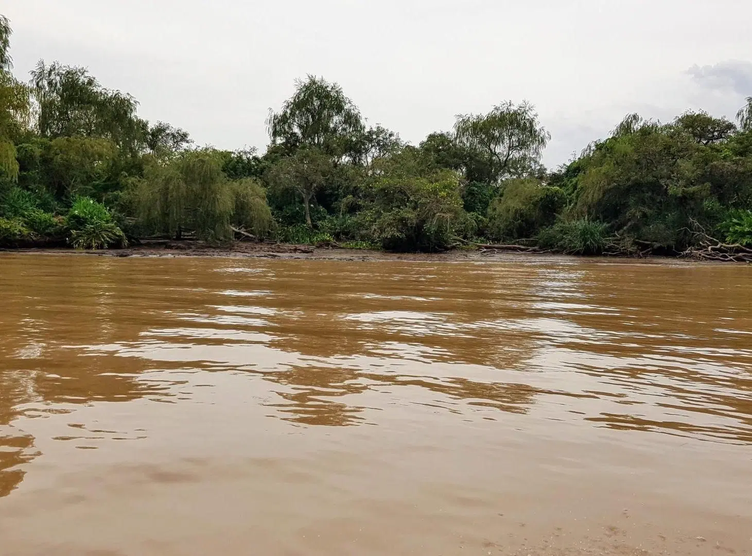 Lote 31ha venta s/rio, 2da sección Delta Islas Paraná Palma 2