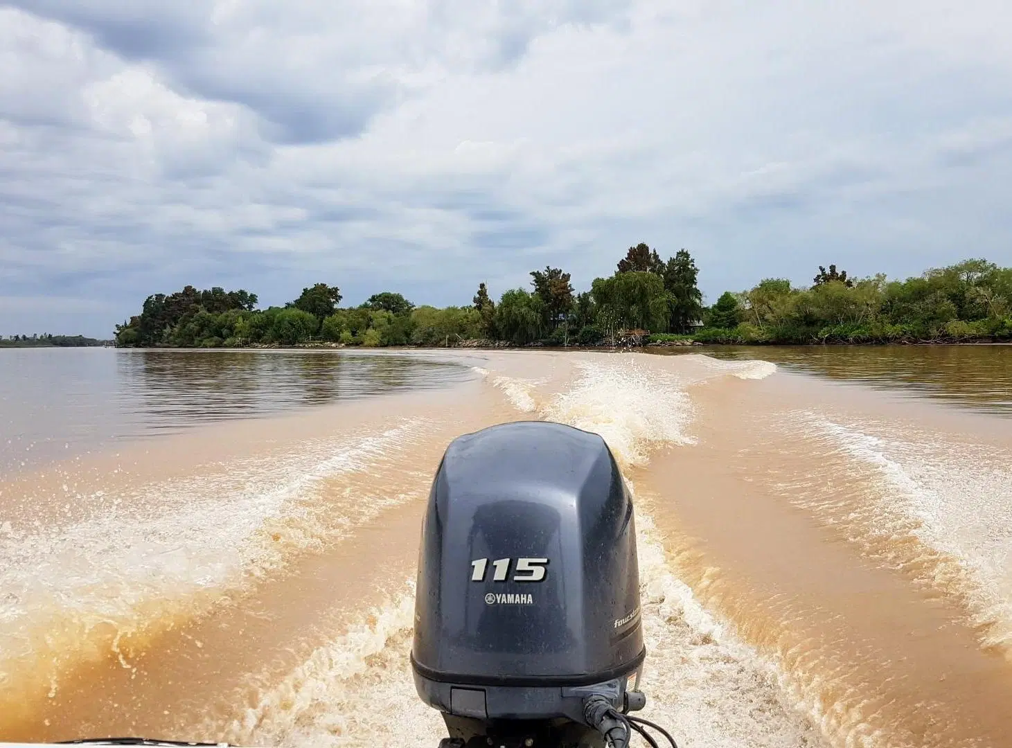 Lote 31ha venta s/rio, 2da sección Delta Islas Paraná Palma 3