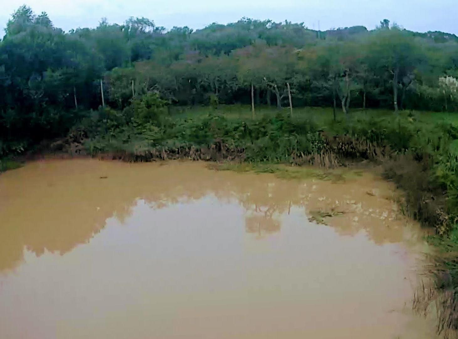 Lote 31ha venta s/rio, 2da sección Delta Islas Paraná Palma