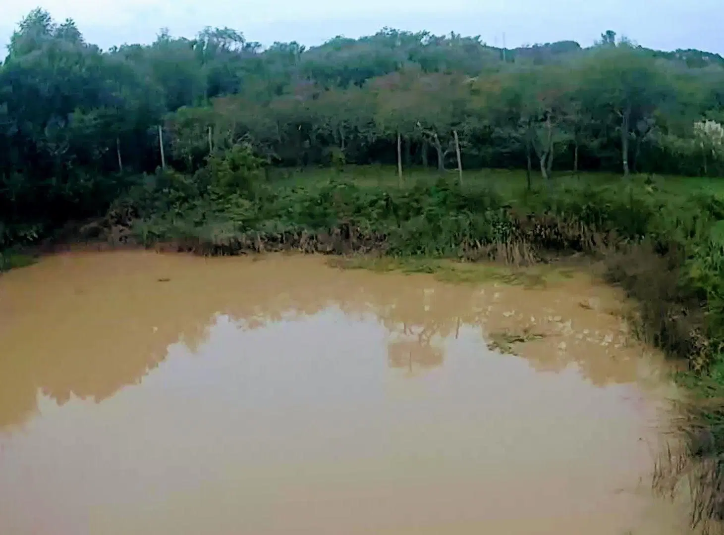Lote 31ha venta s/rio, 2da sección Delta Islas Paraná Palma 3