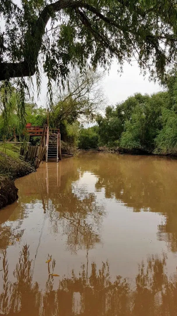 Lote 31ha venta s/rio, 2da sección Delta Islas Paraná Palma 4