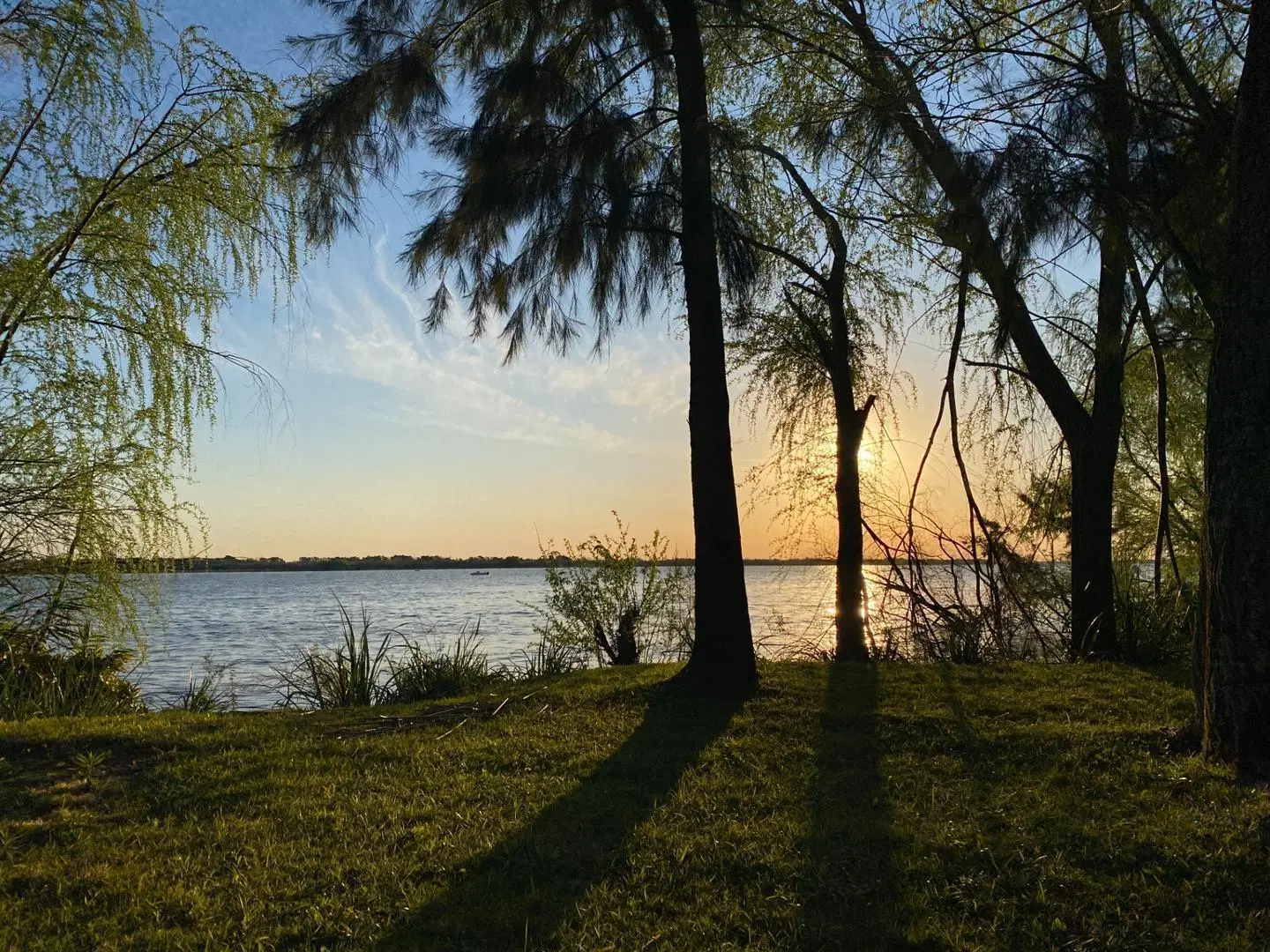 Lote de 25.000m2 venta 2da sección Delta Islas Paraná Palma 2