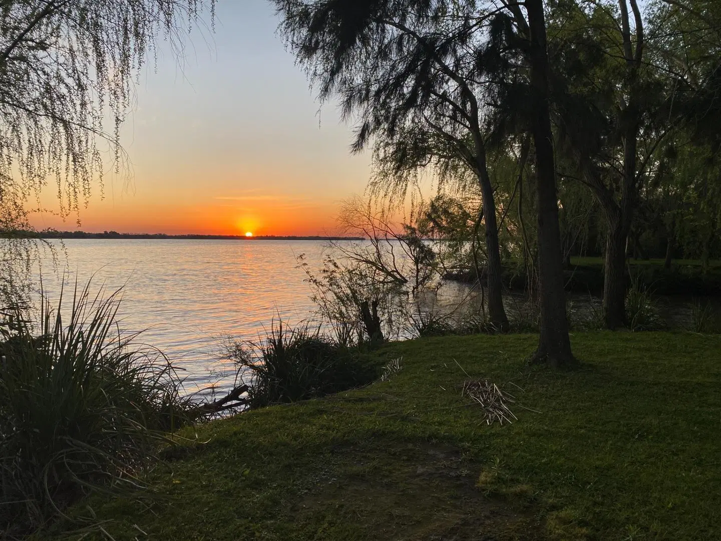 Lote de 25.000m2 venta 2da sección Delta Islas Paraná Palma 4