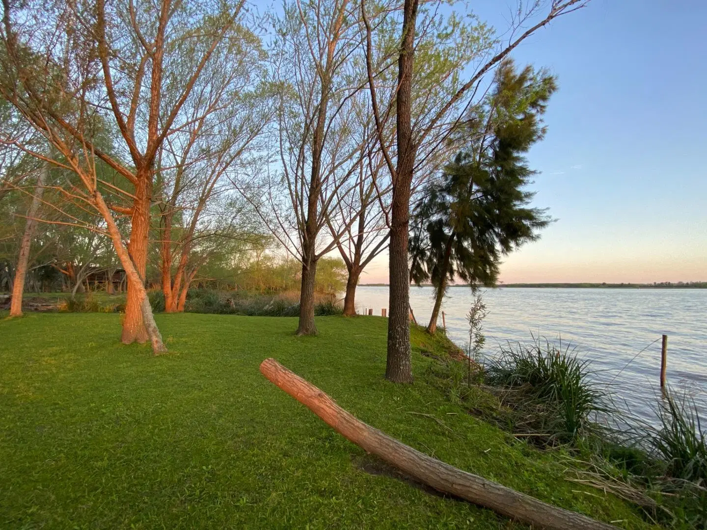 Lote de 25.000m2 venta 2da sección Delta Islas Paraná Palma 5