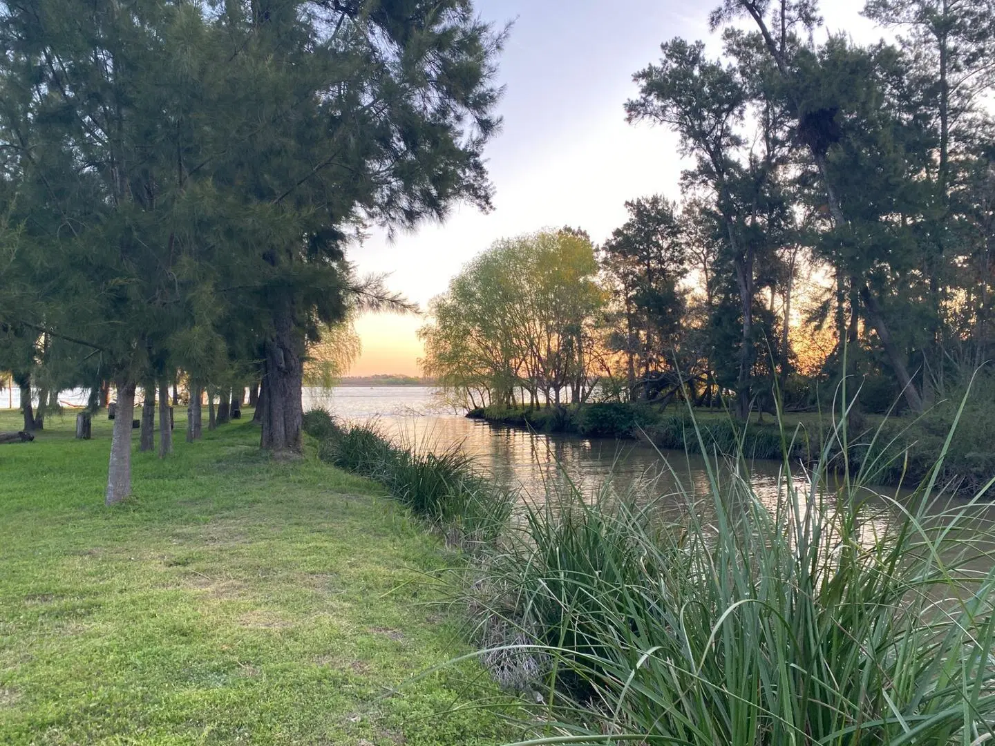 Lote de 25.000m2 venta 2da sección Delta Islas Paraná Palma 3