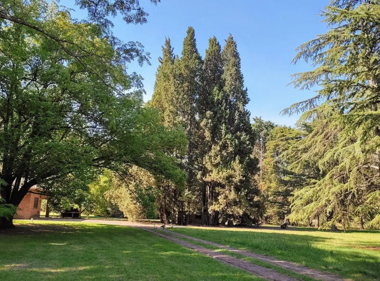 Gran lote en venta p/emprendimiento acceso San Sebastian 2