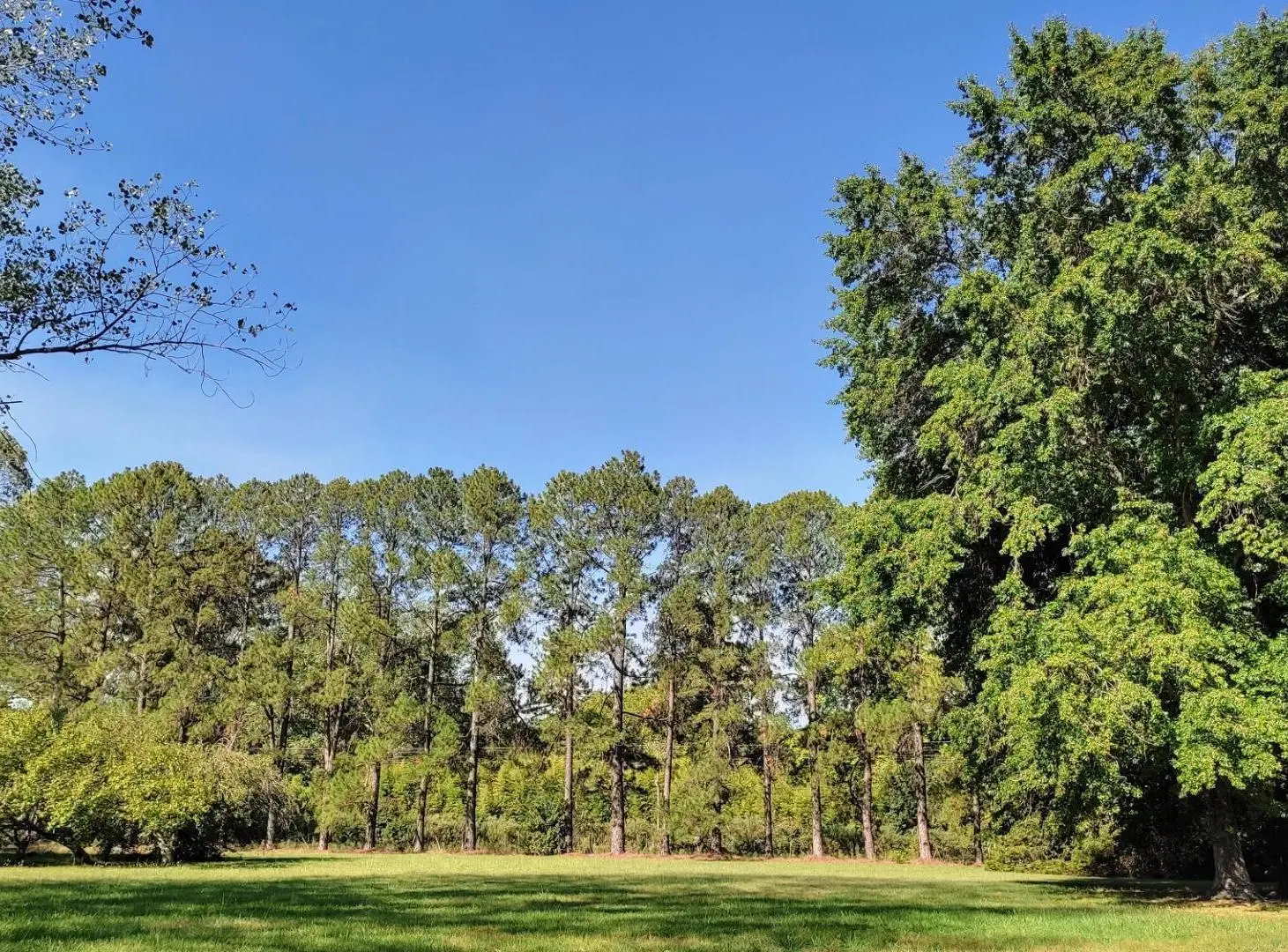 Gran lote en venta p/emprendimiento acceso San Sebastian 5