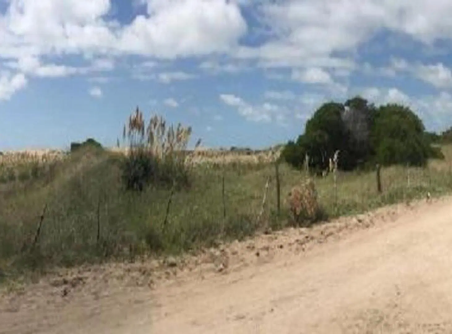 Campo en venta frente al mar en Las Toninas. 3