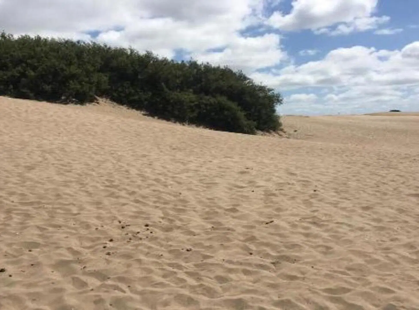 Campo en venta frente al mar en Las Toninas. 4