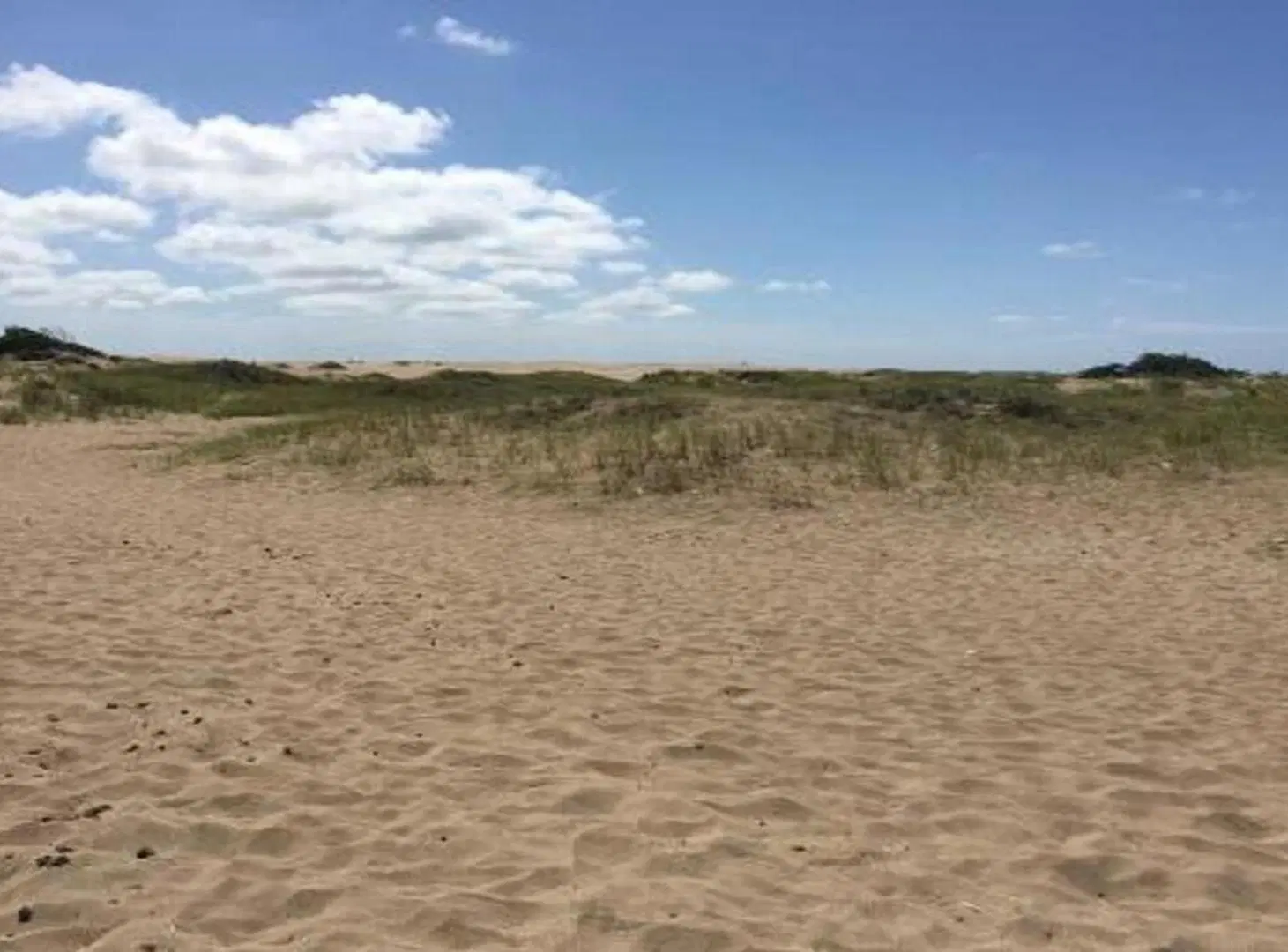 Campo en venta frente al mar en Las Toninas. 5