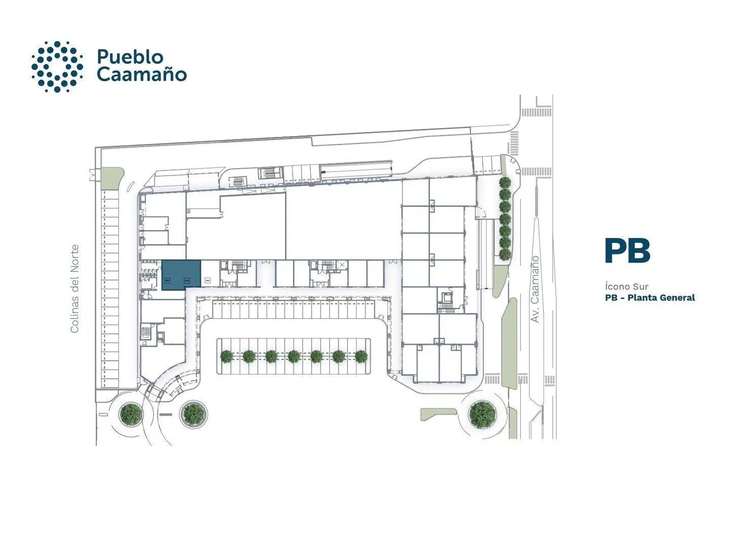 Plano 6
