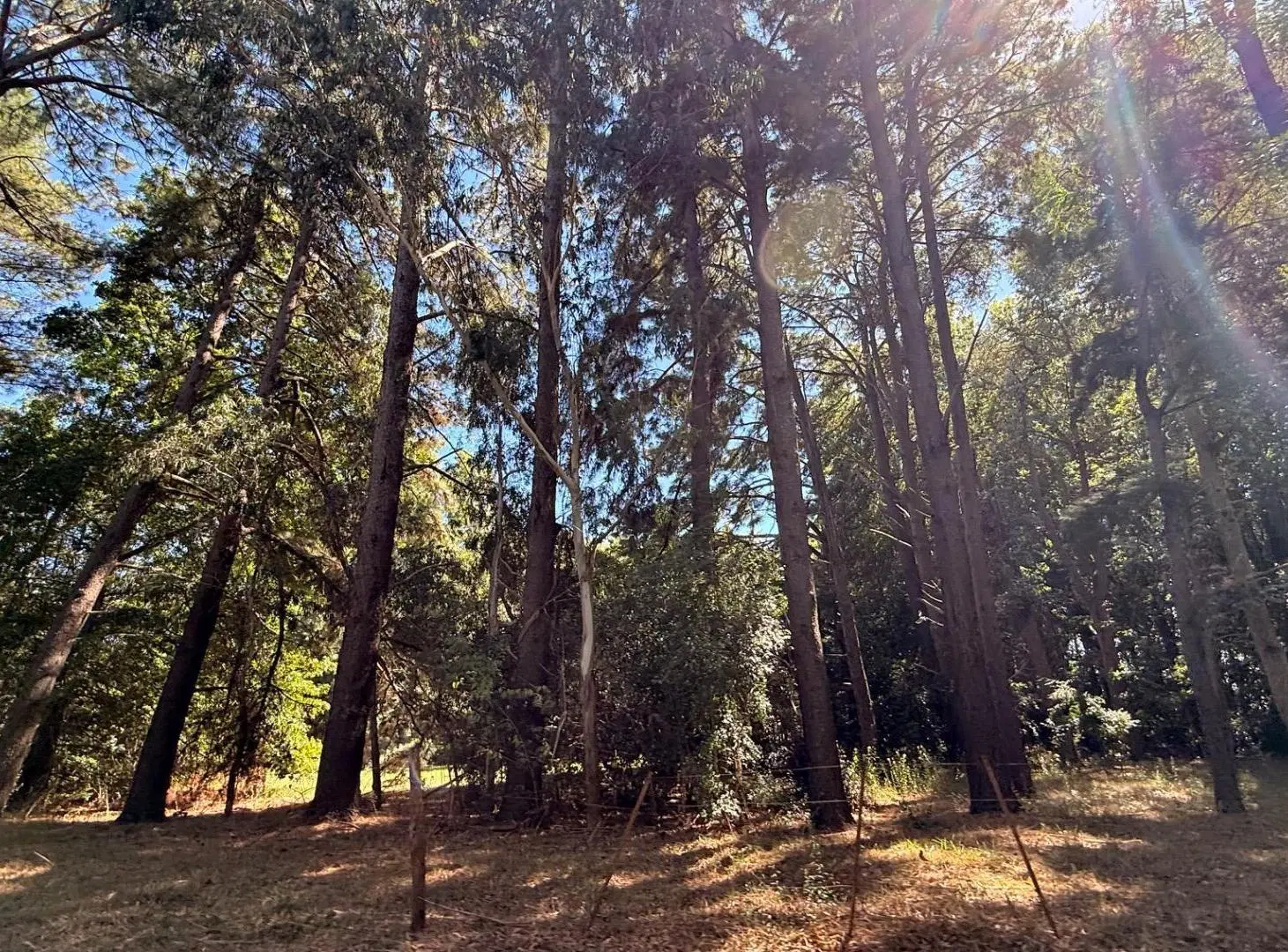 Campo en venta de 34ha en La Plata, casa 311m2 + extras 83m2 8