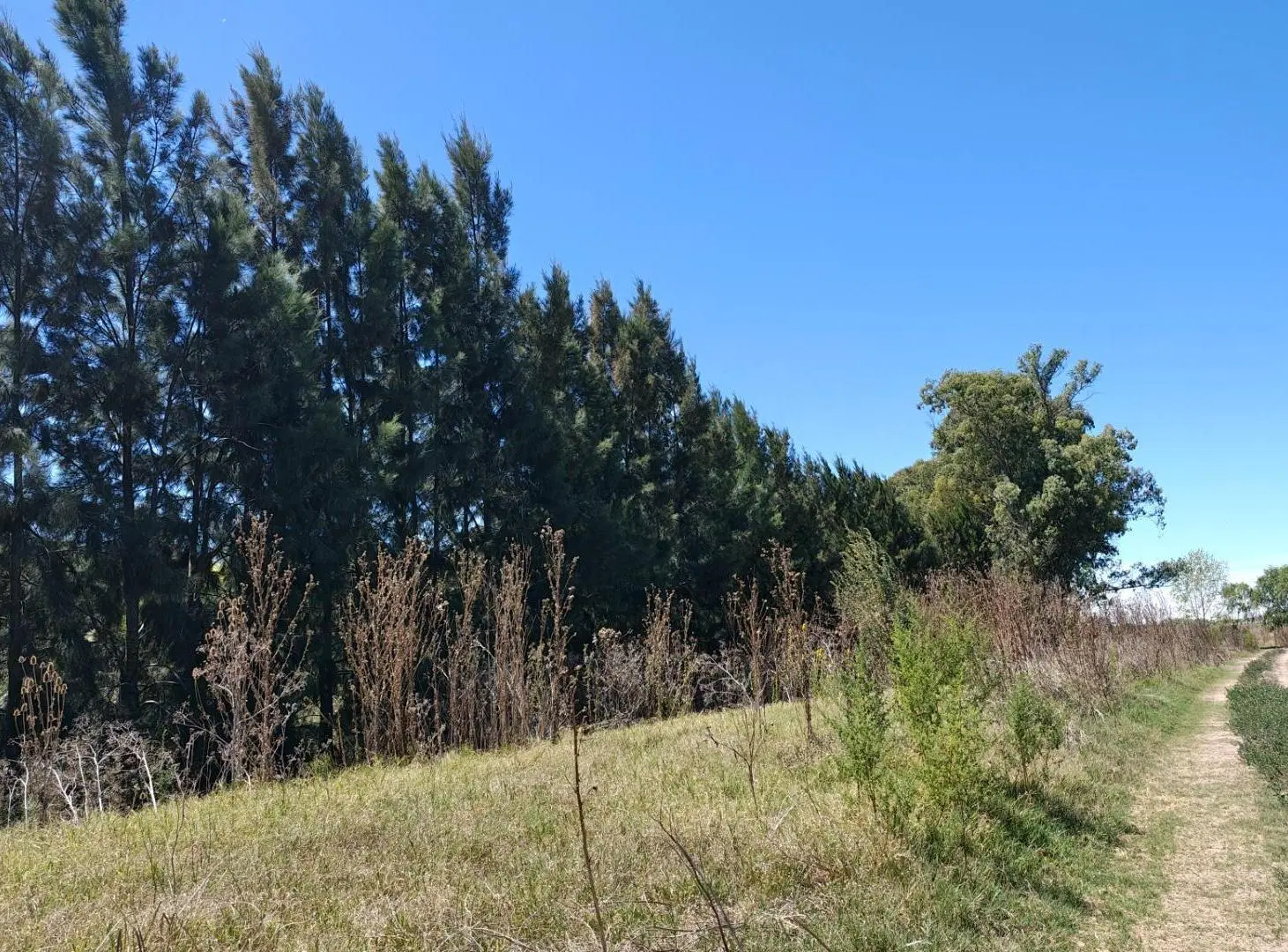 Terreno 10.5ha en venta, Ruta 210 y Autopista Par Pte. Perón 5