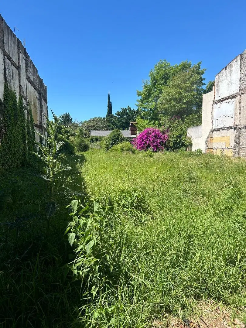 Lote comercial alquiler sobre Av Blanco Encalada San Isidro 2