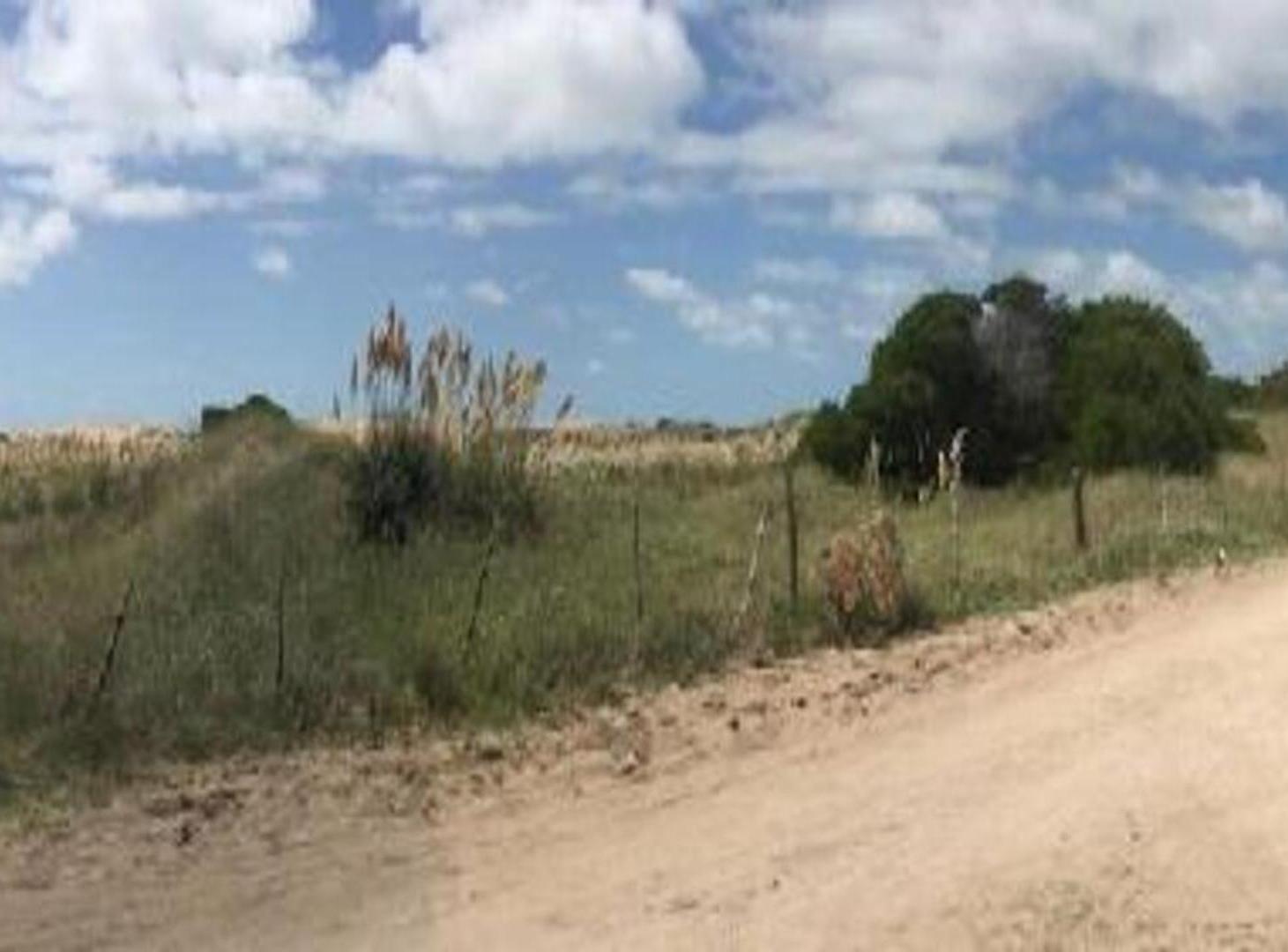 Foto de Campo en venta frente al mar en Las Toninas., imagen 3
