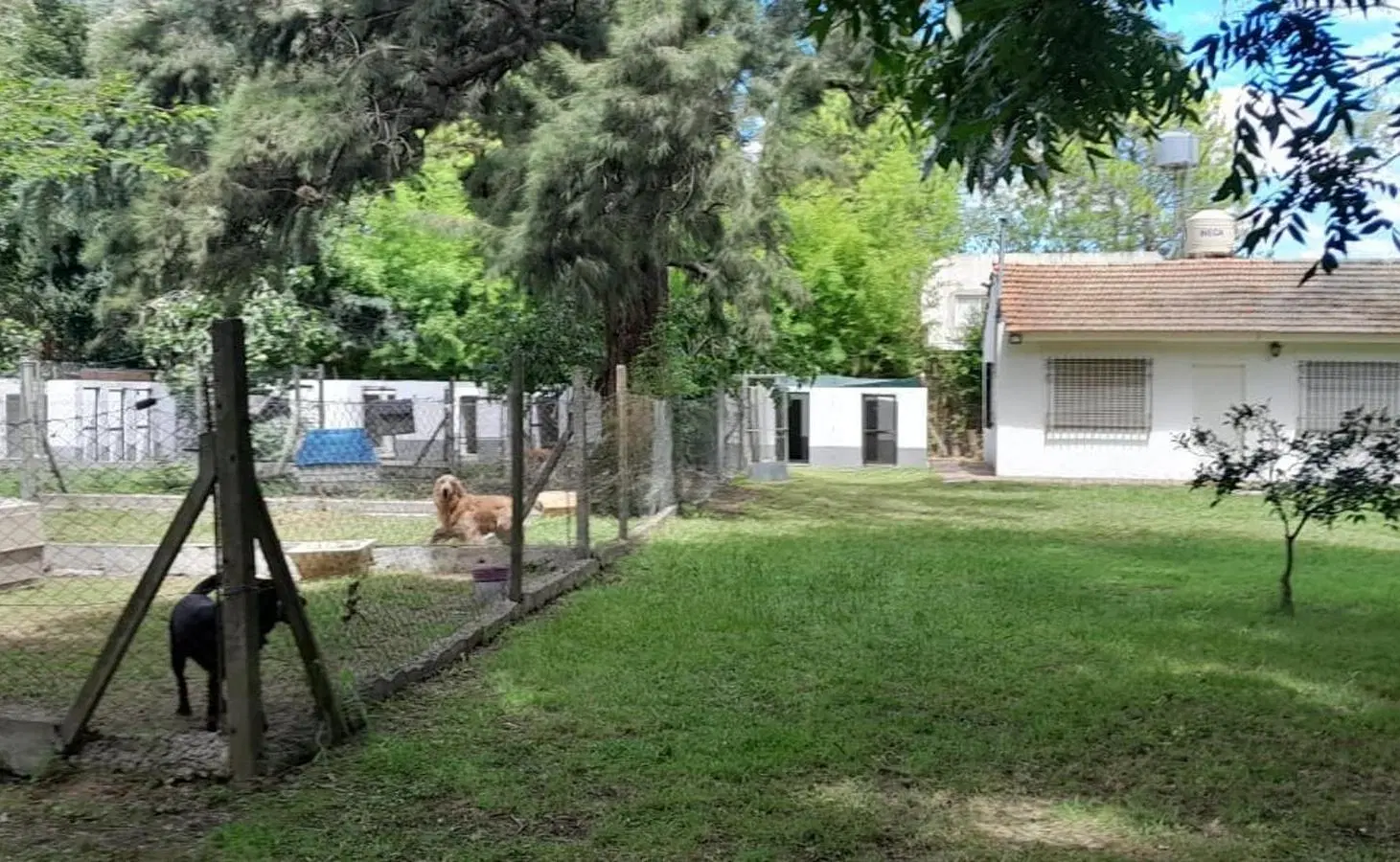 REAL OP. usd 149.000.- lote 2.165m3 +casa + tinglado 192 m2 4