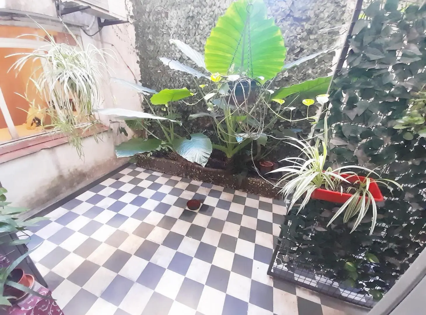Departamento en Palermo 5