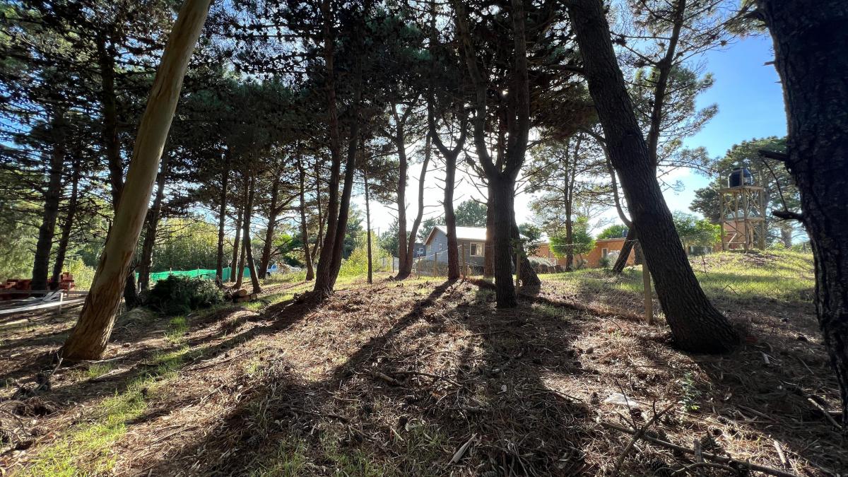 Lote en Las Gaviotas a 8 Cuadras del Mar 675 m² 5