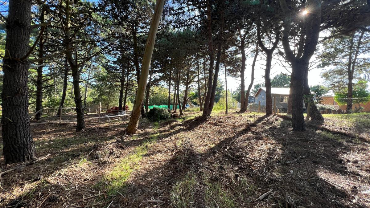 Lote en Las Gaviotas a 8 Cuadras del Mar 675 m² 4